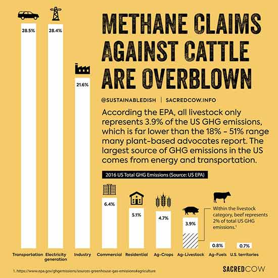 methane