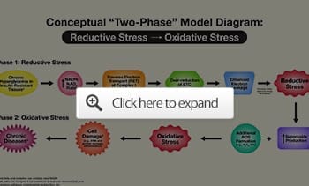 conceptual two phase model diagram