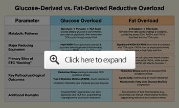 glucose derived vs fat derived reductive overload