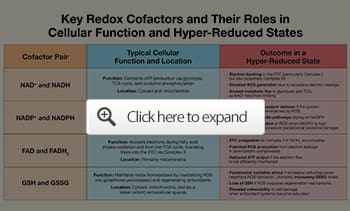 key redox cofactors and roles in cellular functions