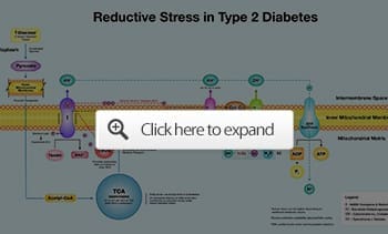 reductive stress Type 2 diabetes